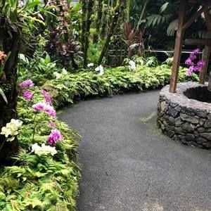 Meet your Posher, Cathy